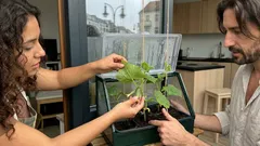 Diese 5 Gurkensorten liefern auch im kühlen, regnerischen Sommer zuverlässig