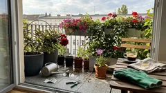 Warum wir manche Gartenblumen nicht mehr sehen können – und wie dein Beet wieder stimmig wird